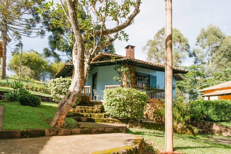 Chalé azul entre araucárias e eucaliptos